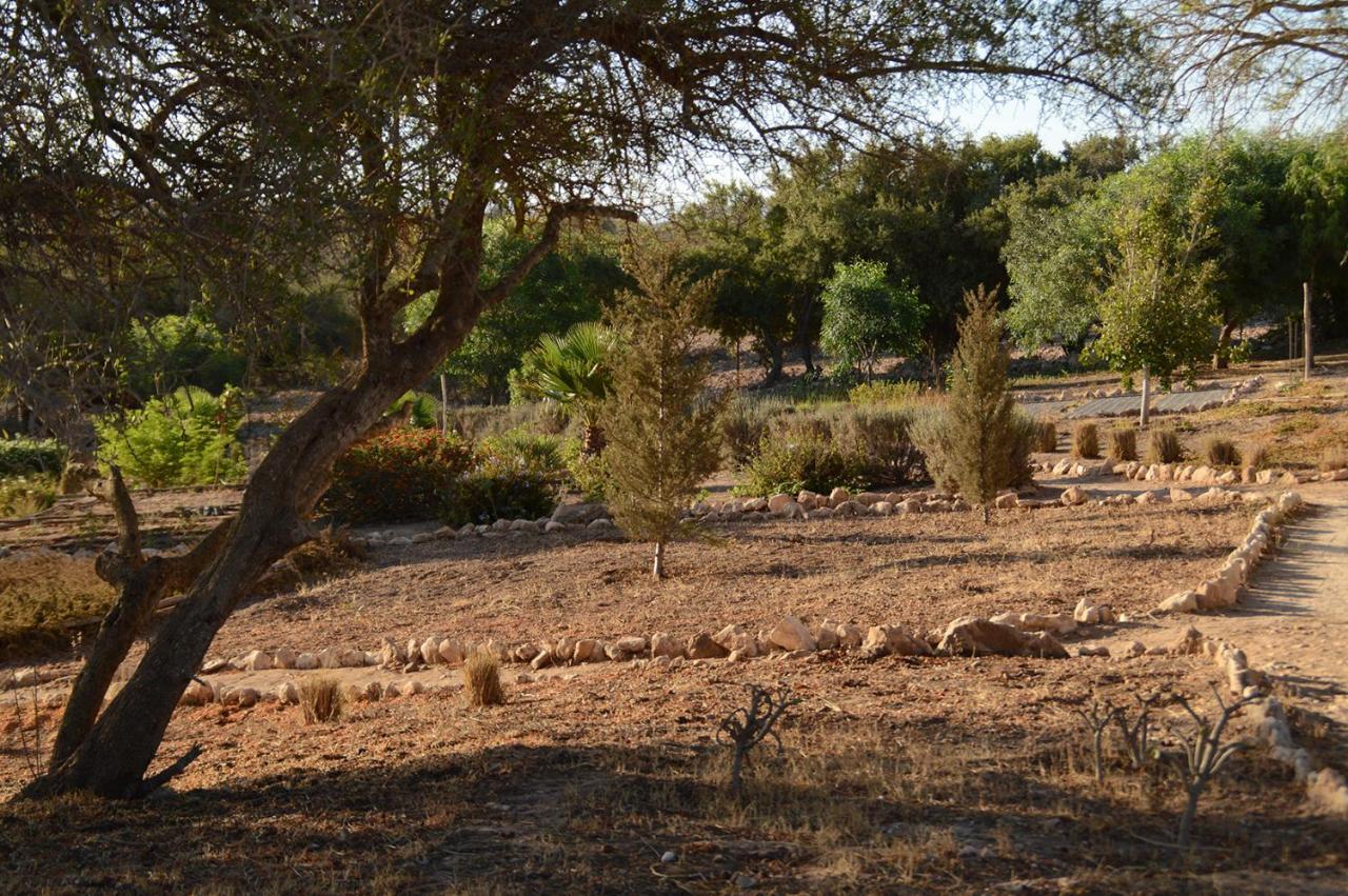 מלון אסאוירה Dar Essaada מראה חיצוני תמונה